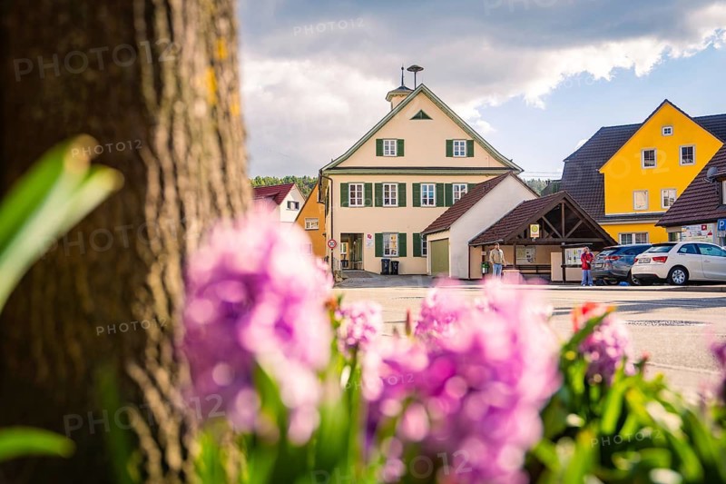 A cozy village square with colorful flowers in the foreground and traditional houses in the background, Deufringen, Aidlingen, Böblingen district, Germany