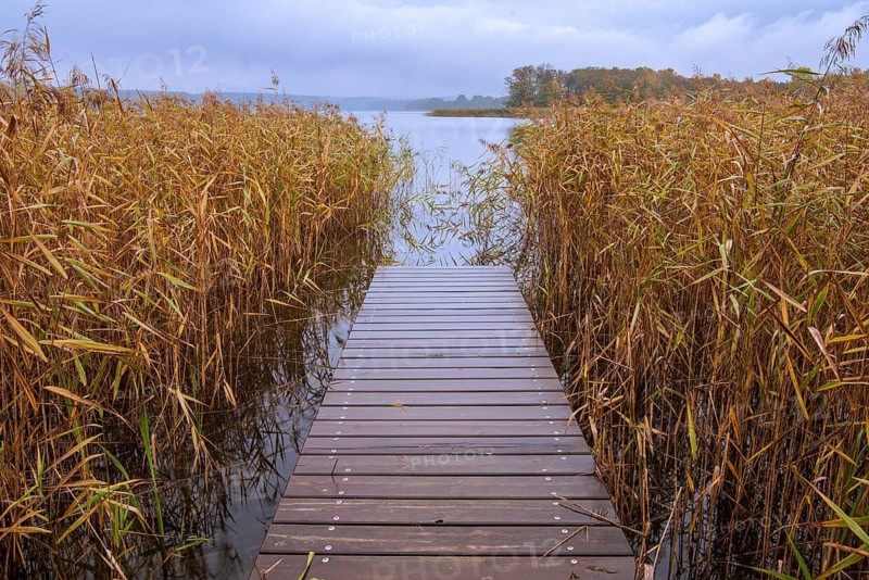 Pier on the lake, Breiter Luzin in autumn, Feldberg Lake District, Mecklenburg-Western Pomerania, Germany