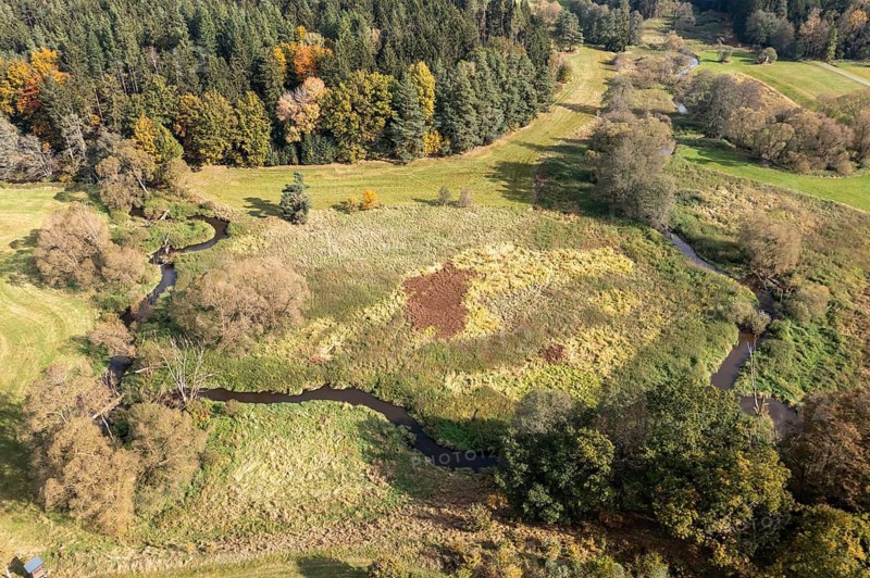 Bavaria, Upper Palatinate, Tirschenreuth, Waldnaab, Waldnaabaue, wild pastures Waldnaabaue, aerial view, aerial view