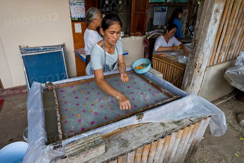 Women make handmade mulberry paper and design it with colorful blossoms, Ban Xang Khong, Luang Prabang, Northern Laos, Louangphrabang Province, Laos