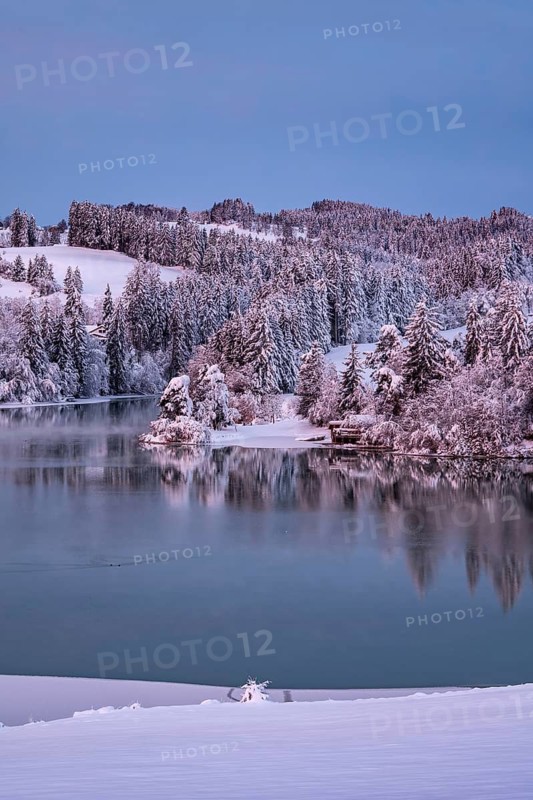 Dawn and sunrise at the wintry Forggensee in a snow-covered winter landscape in the foothills of the Alps in the Allgäu in Bavaria, Germany