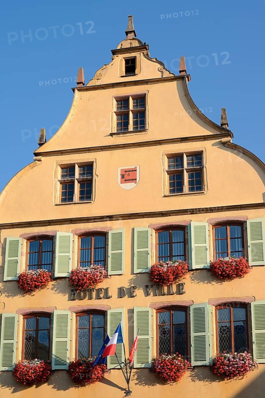 Town Hall with blooming pelargoniums outside the windows, Turckheim, Haut-Rhin, Alsace, Grand Est, France