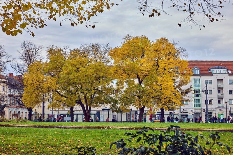 Platz der Einheit park, trees, autumn leaves, autumn leaves, lawn, general architecture, houses, cloudy, diffuse light, Potsdam, state capital, district-free city, Brandenburg, Germany