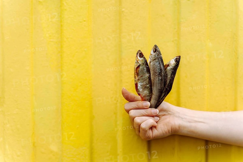 Dried fish beer snack trio in female hand isolated on yellow background, A hand holding three dried fish against a vibrant yellow striped background
