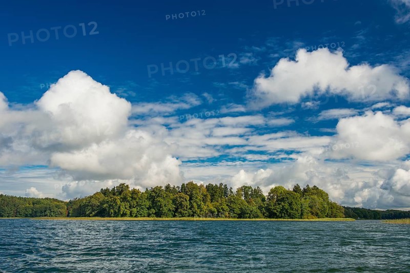 Banks of the Breiten Luzin, lake, wide, Müritz National Park, Feldberg Lake District, Mecklenburg-Western Pomerania, Germany