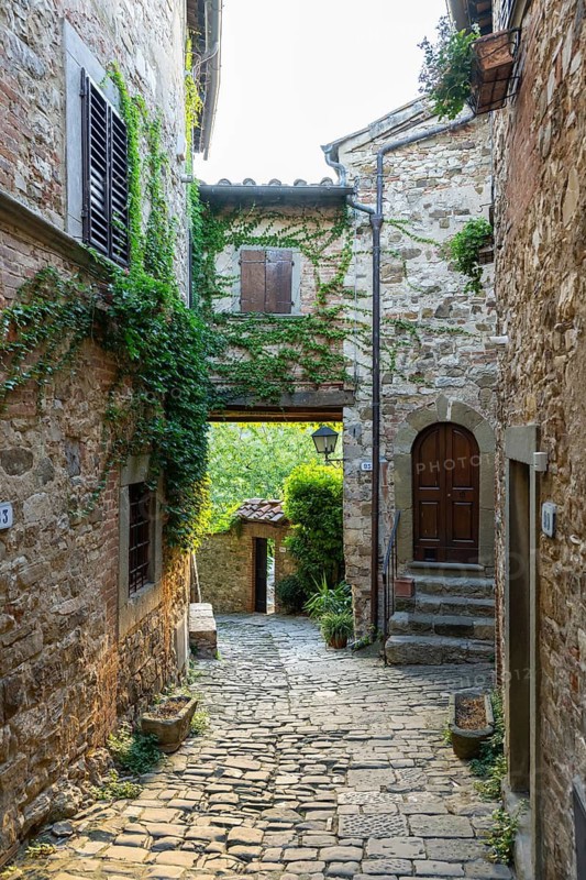 View of a little Street in the little wine town of Montefioralle, Chianti, Florence, Firenze, Tuscany, Italy