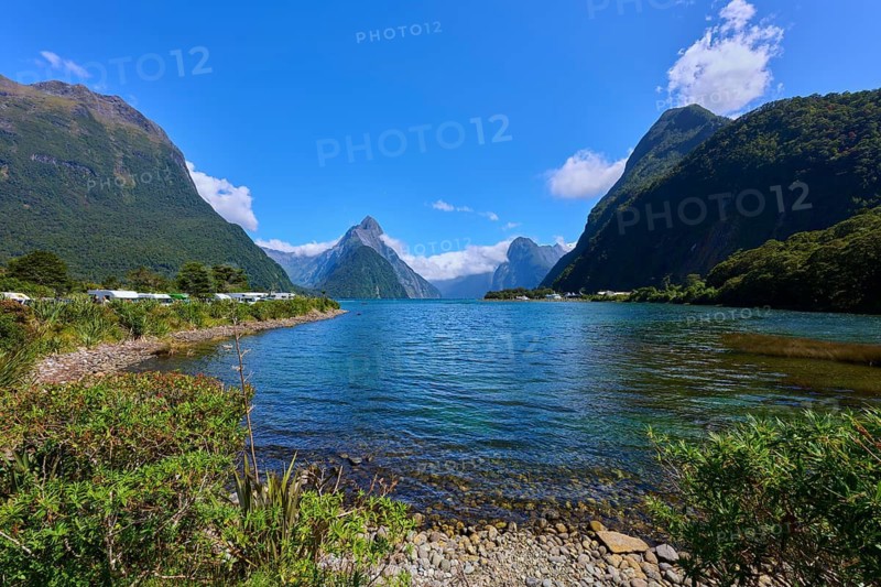 Magnificent fjord surrounded by steep mountains and clear blue sky, summer, Milford Sound, Te Anau, Fiordland National Park, South Island, New Zealand