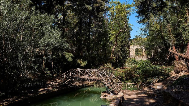 Wooden bridge over water in a shady forest with ruins, Rodini Park, City Park, Rhodes Town, Rhodes, Dodecanese, Greek Islands, Greece