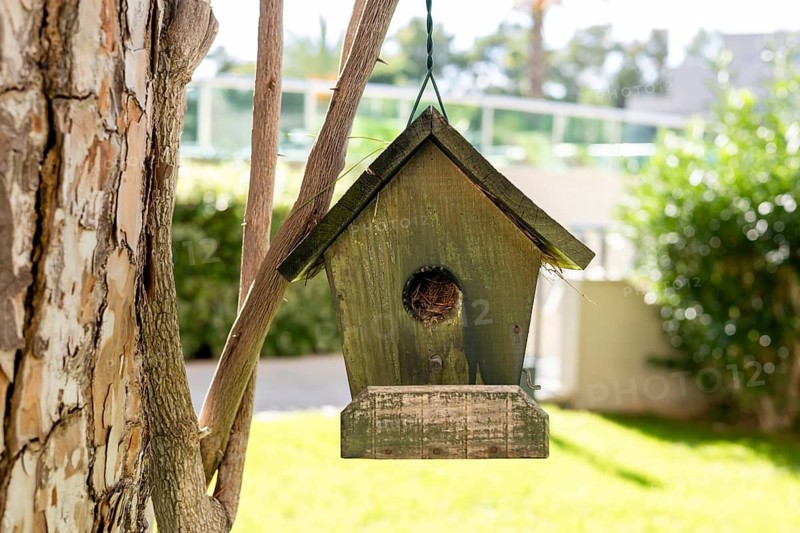 A wooden birdhouse hanging from a tree branch. The birdhouse is green with a slanted roof. The background features blue sky and green foliage