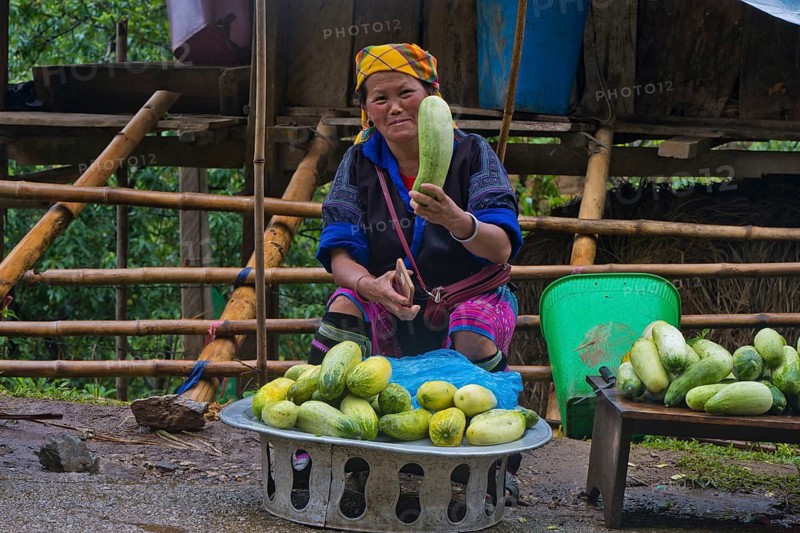 Vietnamese woman from the Hmong people, farmer selling cucumbers on the side of the road at Mù Cang Ch?i, Mu Cang Chai District, Lào Cai Province, North Vietnam, Vietnam