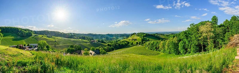 Landscape of the wine yards growing on the hills of southern styria, Austria