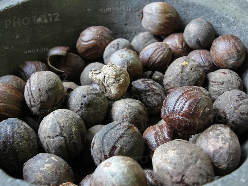 Whole nutmeg in a stone mortar at the market, texture, background, A collection of whole nutmegs in a rustic bowl, showcasing their natural textures and earthy tones