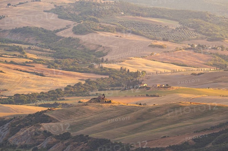 Typical Tuscan landscape in Val d'Orcia with hills, trees, fields, cypresses in autumn at sunset, near La Foce, Tuscany, Italy