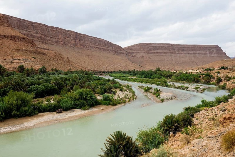 Oasis, near Errachidia, Drâa-Tafilalet region, High Atlas, Morocco