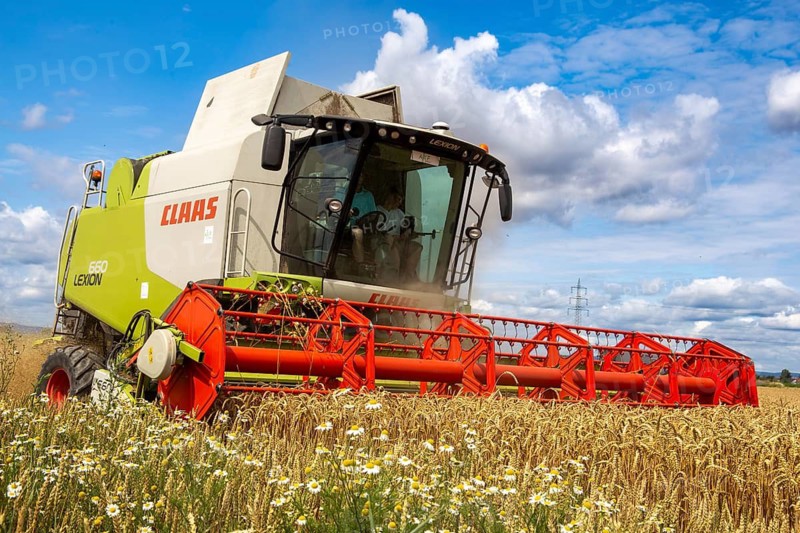 Grain harvest in the Rhein-Pfalz district near Mutterstadt