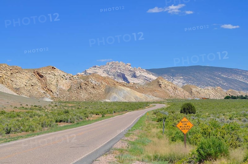 Road in rolling landscape with blue sky and warning sign, Dinosaur National Monument, Utah, USA