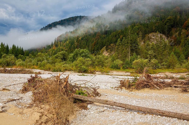 Isar valley nature conservancy area. The wild Isar river flows through its gravel bed past driftwood and entrained trees and bushes . Early morning