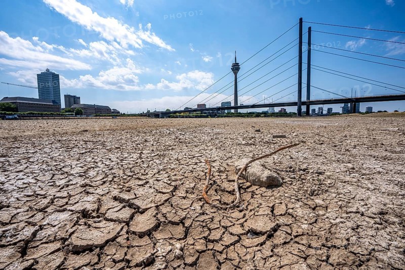 Dry riverbed, brittle floes, extreme low water, Rhine level at 41 cm, downward trend, freighters must sail with reduced load, after the long drought, the left bank of the Rhine falls dry near Düsseldorf Oberkassel, Rheinkniebrücke, Rheinturm, North Rhine-Westphalia, Germany