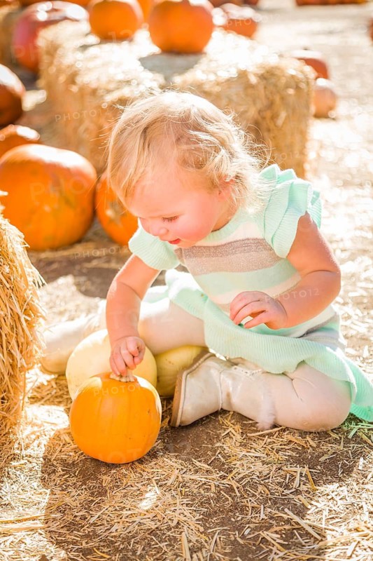 Adorable Baby Girl Having Fun in a Rustic Ranch Setting at the Pumpkin Patch