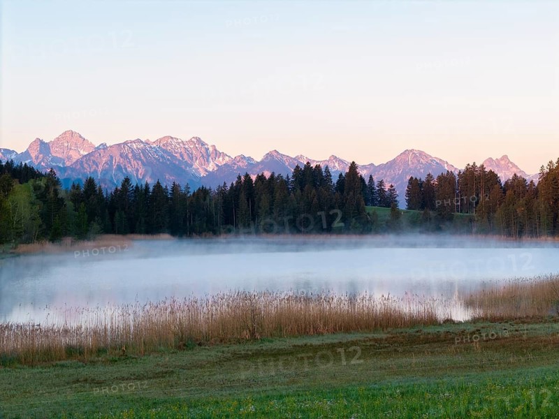 Morning fog over a lake, surrounded by mountains and peaceful nature, Hergratsrieder See, Alps, near Füssen, Ostallgäu, Allgäu, Bavaria, Germany