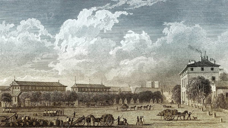 La halle aux vins de Paris, antique steel engraved print, 1831