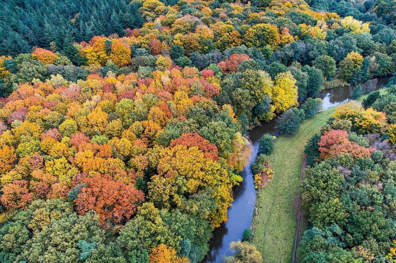 Hunte in autumn Barneführer wood, forest, autumn colors, Westerburg, Wardenburg, Lower Saxony, Germany