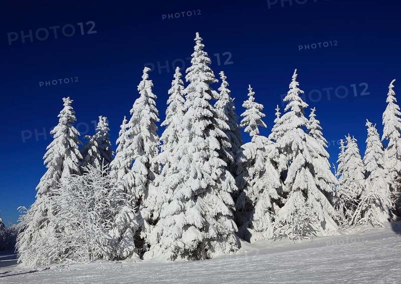 Winter landscape in the Fichtelgebirge, Bayreuth district, Upper Franconia, Bavaria, Germany
