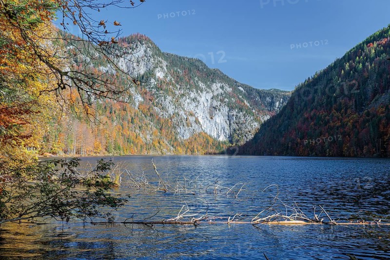 Lake Toplitz, Forest in Fall Colors, Austria