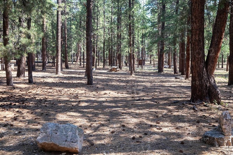 Grand Canyon National Park, Arizona, The campground on the North Rim of the Grand Canyon a year after the Dragon Bravo fire. The fire did not burn the campground. It is open but lightly used because the water supply has not yet been restored