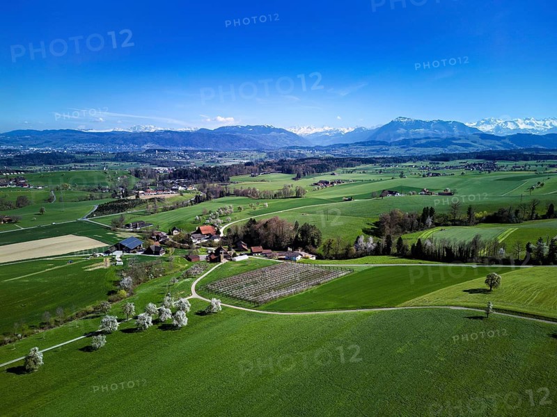 View of the hamlets of Unteralikon and Meienberg behind the Alps with the Rigi, Sins, Freiamt, Canton of Aargau, Switzerland