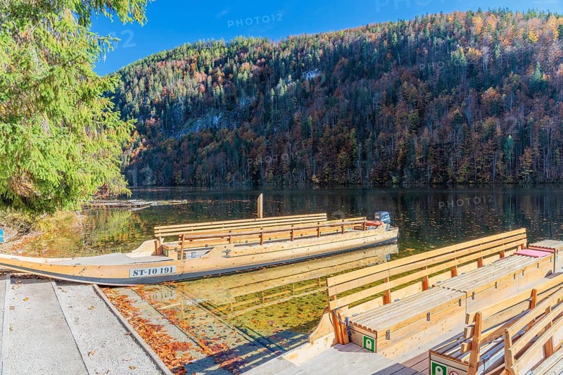 A typical boat type (Plätte) lying ashore Lake Toplitz. A forest in full autumn colors can be seen in the background. Austria