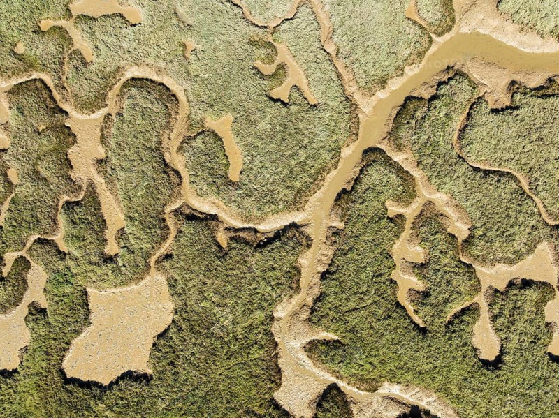 Network of channels and streams at low tide. In the marshland of the Piedras River. Aerial view. Drone shot. Huelva province, Andalusia, Spain