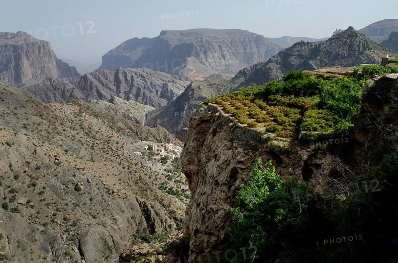 The green mountains called Jebel Akhdar of the Hajar mountain range, the harsh interior of Oman, home of traditional rose harvesting and fruit farming