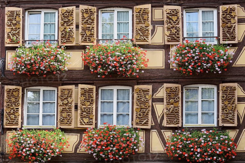 Bakery, façade with windows and decorated shutters, Colmar, Haut-Rhin, Alsace, Grand Est, France