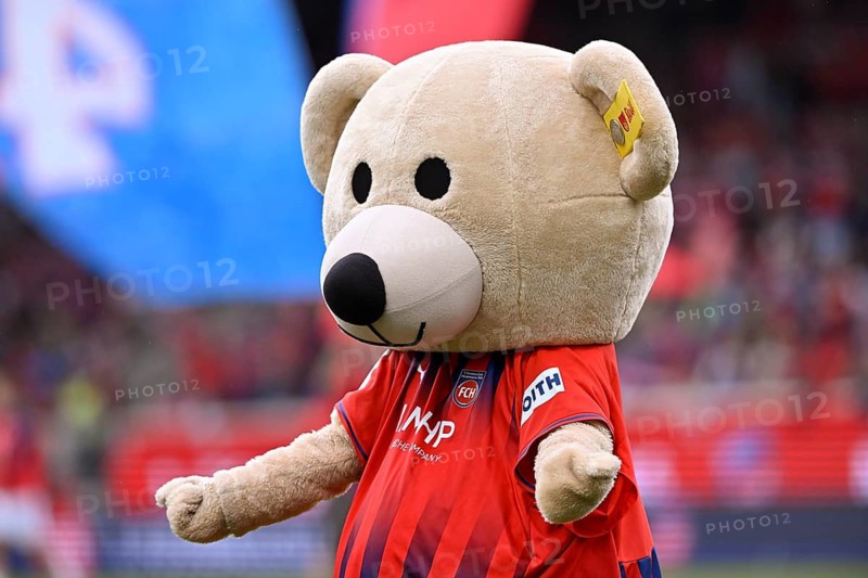 Mascot Paule 1. FC Heidenheim 1846 FCH Bundesliga, soccer, Voith-Arena, Heidenheim, Baden-Württemberg, Germany