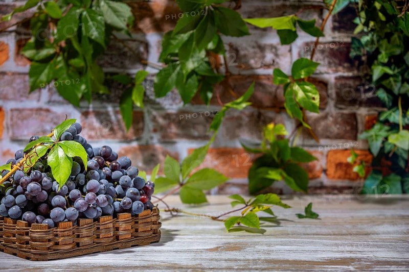 Blue burgundy grapes in baskets in front of brick wall with leaves, copying room