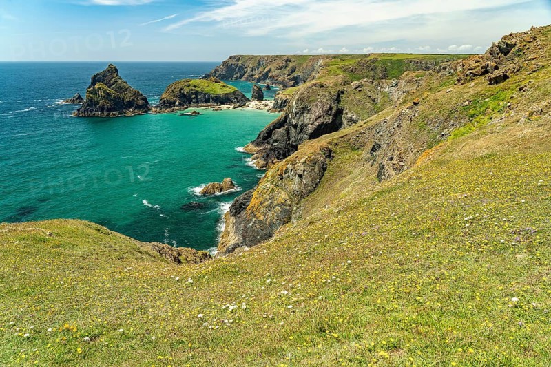 The coast at Kynance Cove, Cornwall, England, Great Britain