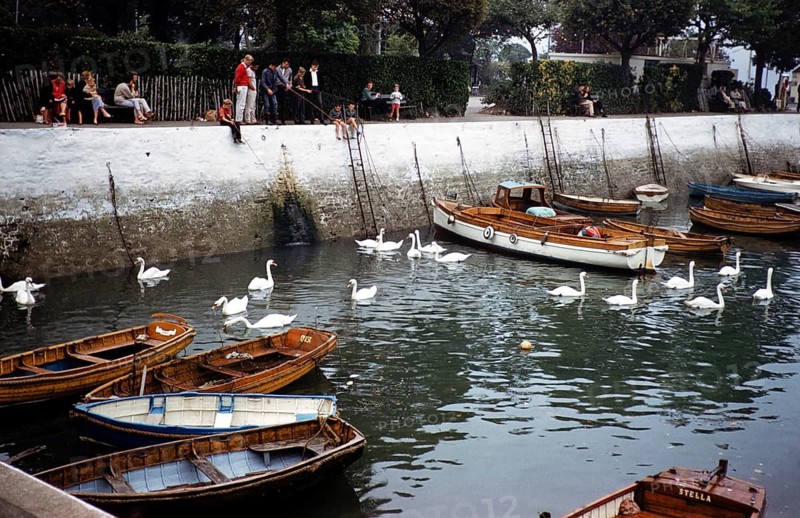 People fishing on the quay, swans and rowing boats in the water of the harbour, Dartmouth, Devon, England, Great Britain, early 1960s