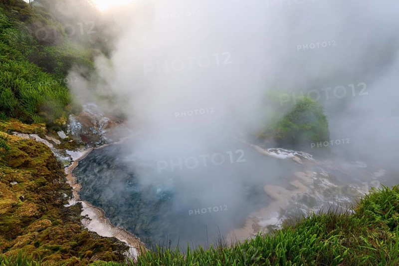Hot spring embedded in a lush, tranquil natural landscape, Te Manaroa Spring, hot spring, Waikite Valley, Bay of Plenty, North Island, New Zealand