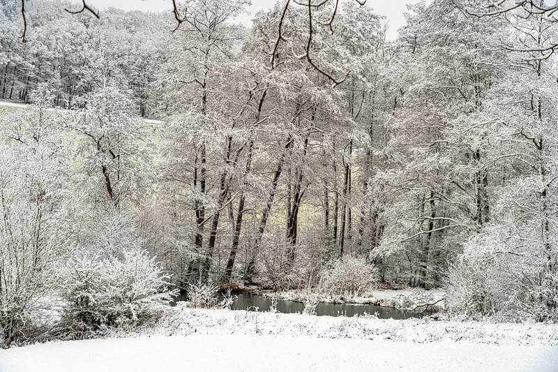 Snowy winter landscape in the Sauerland, Sundern, Hochsauerlandkreis, North Rhine-Westphalia