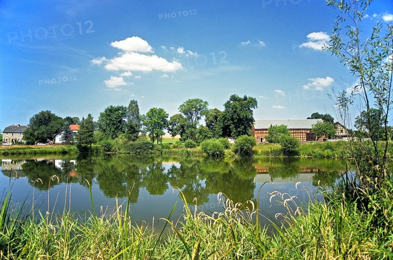 Germany, Gottesgrün, Greiz, Thuringia, village pond, landscape, pond, standing water, pond