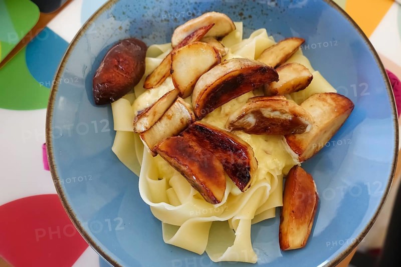 Southern German cuisine, porcini mushrooms on noodles, ribbon noodles arranged on a plate, fine cuisine, upscale cuisine, food photography, studio, Germany