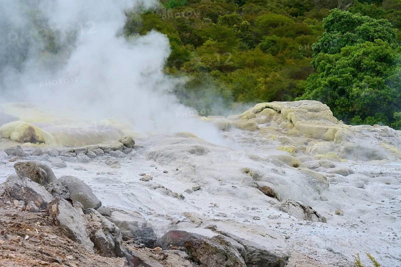 Steaming rock formations in a green volcanic environment, Te Puia, Whakarewarewa, Rotorua, North Island, New Zealand