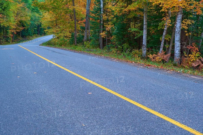 Road winds through an autumn forest with colourful foliage and a yellow centre line, Autumn, Ontario, Canada