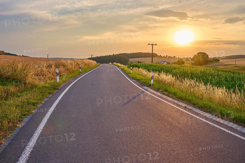 A quiet country road at sunset surrounded by green and golden fields, summer, Reichartshausen, Amorbach, Odenwald, Bavaria, Germany