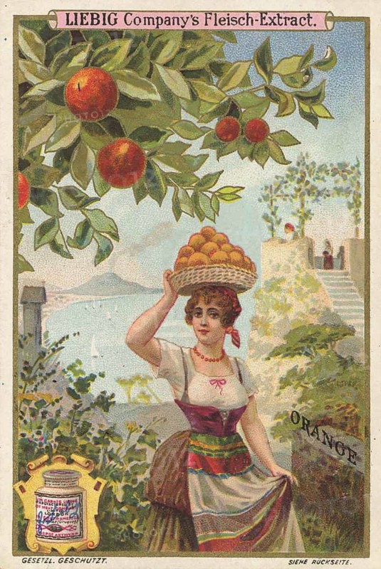 Series tropical fruits with local people, orange, Liebig picture, digitally restored reproduction of a collector's picture from around 1900, public domain, exact date unknown, woman in traditional dress carrying an orange basket under a tree
