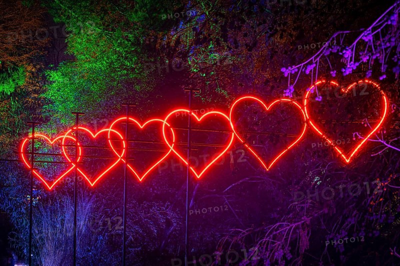 From 9 December 2023 to 14 January 2024, the Palmengarten in Frankfurt am Main will host the Winter Lights for the 11th time. A total of 25 light installations await visitors along a circular route, Palmengarten, Frankfurt am Main, Hesse, Germany