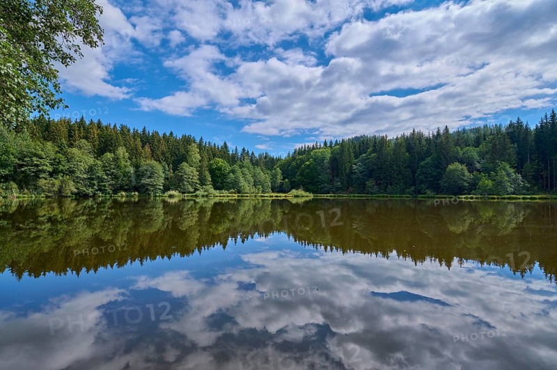 Forest lake, reflection, sky, clouds, summer, Tauern pond, Ossiach, Carinthia, Austria
