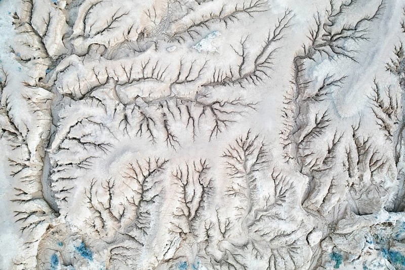 Aerial view of a desert landscape showcasing complex, branching riverbed patterns These natural formations resemble trees with intricate, vein-like structures