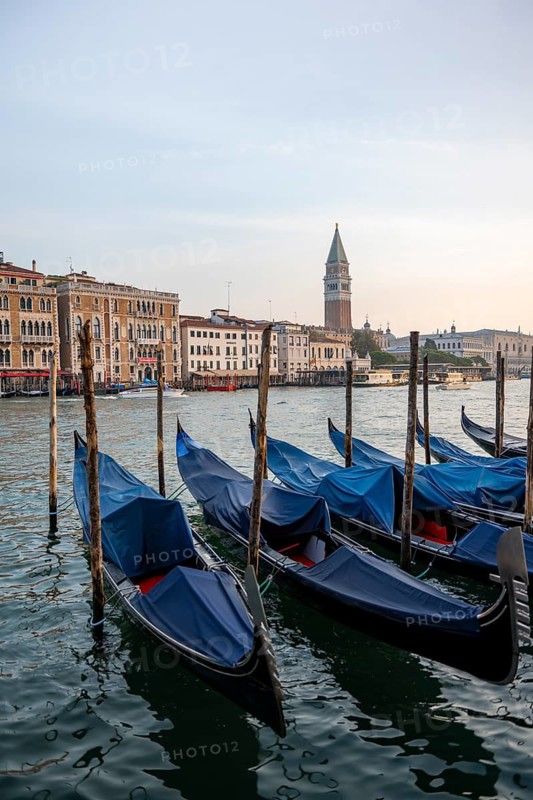 Venetian gondolas, boat dock at the customs office on the Grand Canal, Gondola Traghetto Dogana, behind Campanile, Venice, Veneto, Italy